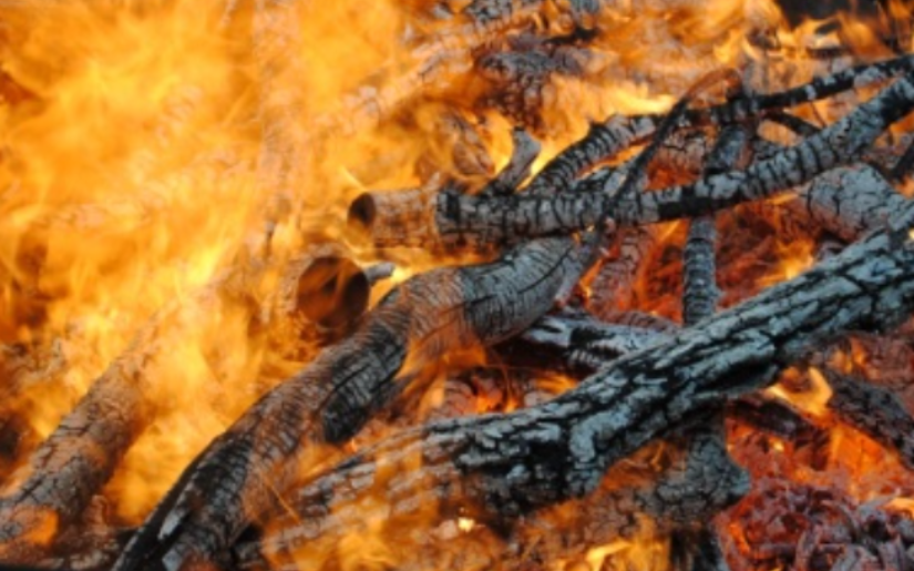 On Site Biochar Demonstration | St. Louis Park, MN